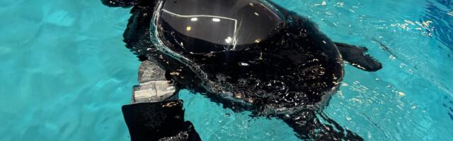 Yes, This Swimming RoboTurtle Is Adorable. It Also Has an Important Environmental Mission