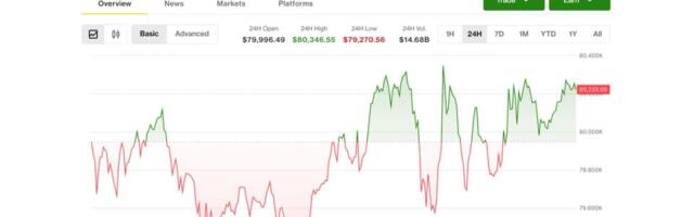 Coinbase rebounds as altcoins surge with bitcoin holding above $80,000