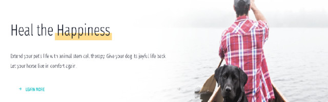 Medrego – Heal the happiness