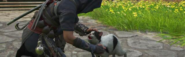 I turned my Assassin's Creed Shadows hideout into my personal cat and tanuki sanctuary, human allies be damned