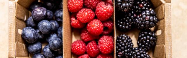 5 Doctor-Approved Foods That Could Reduce Your Cancer Risk