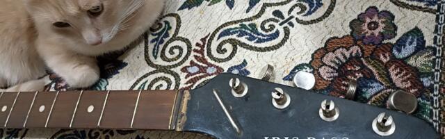 Антикварная бас-гитара Jolana Iris из ЧССР, часть 1: первое знакомство