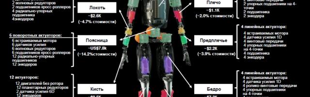 Анализ тенденций в области человекоподобных роботов (гуманоидов) по версии Morgan Stanley Research