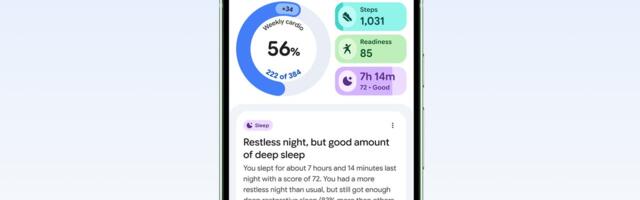 Google's AI Health Guidance Is What I've Been Looking for, but I Miss the Fitbit App