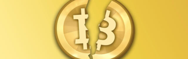 Crypto crash explainer: This is why you’re losing money