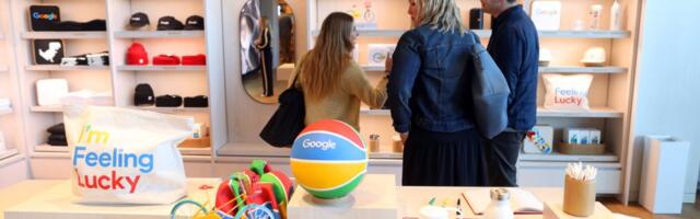 Google opens Mountain View visitor center at dragonscale canopy office