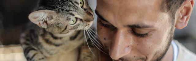 Gen Z is adopting cats at higher rates than dogs. Pet care company Rover is taking notes.