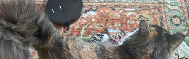 Which robot vacuum works the best on pet hair? After testing, my cats and I chose our top picks for 2026.