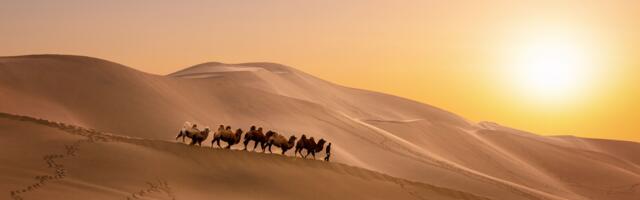 Silk Road Bitcoin Worth Nearly $2B Moved to Coinbase Prime