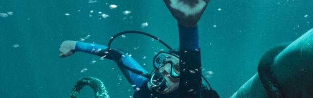 Whalefall trailer dares to ask: But what if you got swallowed by a whale?