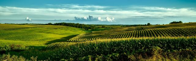 New sustainable cool boxes to help with international crop waste