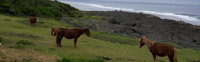 Yonaguni is a serene Japanese island featured in a Bad Bunny song — and at the front of a US-China war. See photos.