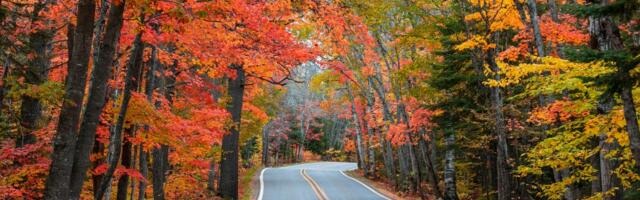 I've visited all 50 states solo, but there's one region I keep coming back to in the fall