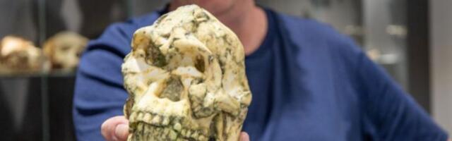One of the Most Complete Human Ancestors Ever Found Isn’t Who We Thought It Was