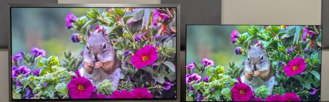 I tested Samsung and LG's best OLED TVs side-by-side, and we've never been more spoiled for choice — here are the key ways each one beats the other in the real world