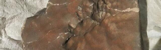 Biggest Martian Meteorite Ever Found Could Fetch $4 Million at Auction