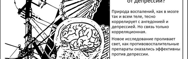 [Перевод] Противовоспалительные препараты как антидепрессанты? Да, но только в некоторых случаях