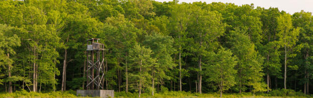 NASA transfers ownership of Maryland woodland to the US Fish and Wildlife Service