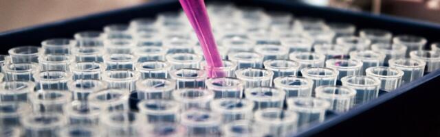 Agomab Therapeutics secures €94.9M in Series C to advance drug development for Crohn's Disease