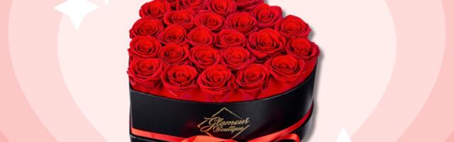 Looking for an affordable Venus et Fleur dupe for V-Day? These preserved roses are only $59.94