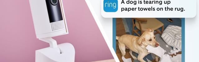 Too many doorbell or camera notifications? Ring is using AI to condense alerts so you're not bombarded