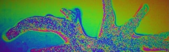 Ethereum bumps blob capacity as it gears for Fusaka upgrade