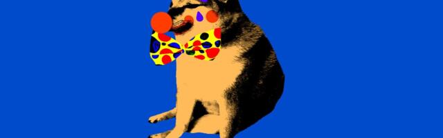 Trump admin admits DOGE employees had access to off-limits Social Security data