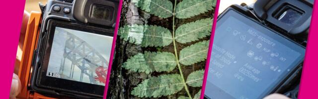 Understanding multi-exposure photography: key terms explained, in-camera techniques, what to shoot and more