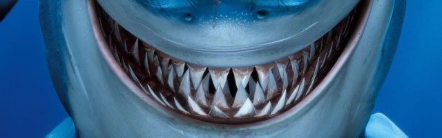 Have we come to the end of the ‘fintech vs big bank’ culture war?