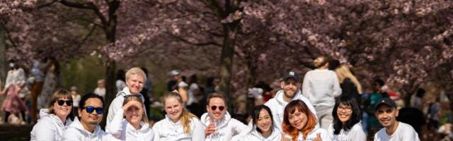 Resistomap is mapping antibiotic resistance since 2019 to make the world more healthy