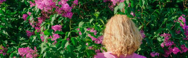 Things Humans Still Do Better Than AI: Understanding Flowers