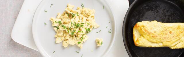 Onego Bio Secures $40M Series A for animal-free egg protein