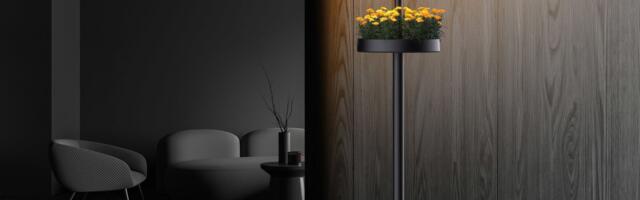 LG’s new lamp puts a mini garden inside your home