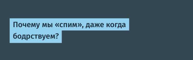 Почему мы «спим», даже когда бодрствуем?
