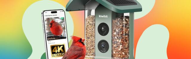 Best Prime Day Smart Bird Feeder Deals (2026)