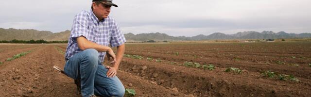 You — yes, you — are going to pay for the century-old mistake that’s draining the Colorado River