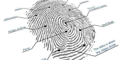 FPC Announces Improved T-Shape Biometric Fingerprint Sensor Module