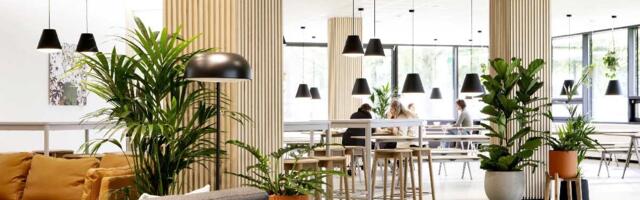 IKEA-backed NORNORM raises €50M as it sits pretty on profitability across core markets