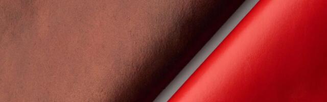 Dutch-based Qorium secures €22M to scale cultivated leather as sustainable alternative to animal hides