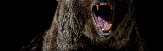 Bitcoin Tumbles Back Below $110K as Crypto Bounce Fails, Ether Plunges 8%