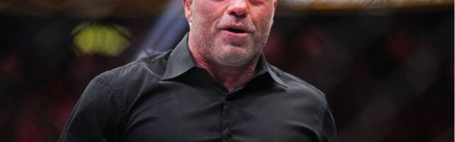 Interest in a Potentially Toxic Measles Treatment Spiked After Joe Rogan Bump, Study Says