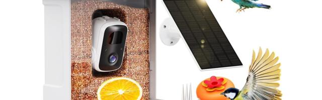Birdwatching Meets Technology With This AI Bird Feeder Camera at 53% Off for a Smarter New Year