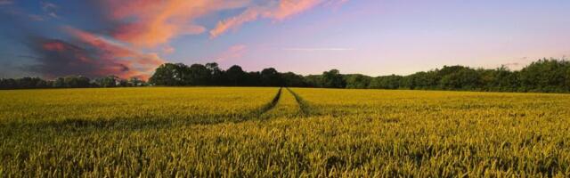 Successful harvests made possible by SATCOM