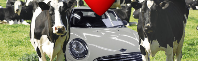Want to buy a MINI with a leather interior? Sorry mate, that’s no longer going to be an option