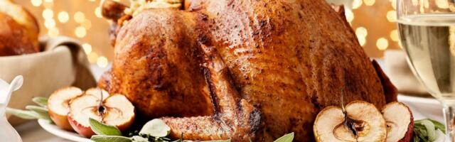 Essential Tips to Nail Your Thanksgiving Turkey This Year