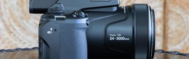 Nikon Coolpix P1100 Superzoom Camera Review: See Bird Butts From 1,000 Feet