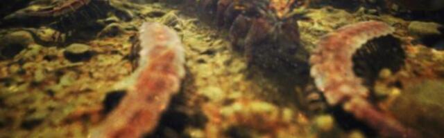 Research roundup: 7 cool science stories we almost missed