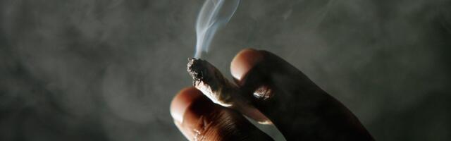 The Supreme Court has good news for people who like weed and guns