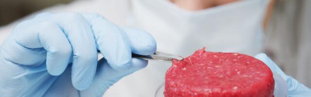 Does the UK have an appetite for a cultivated meat revolution?