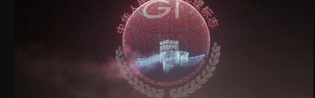 China smashes drone display world record - nearly 16,000 drones take to the sky in incredible display